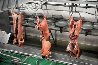 双汇涉 瘦肉精 产品下架 工厂停产自查