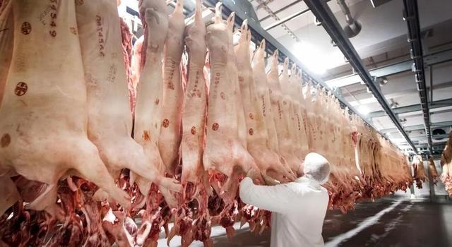 德国最大肉类加工厂爆发疫情,你还敢吃进口肉制品吗?|远读重洋