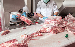 肉食品专题模板-肉食品